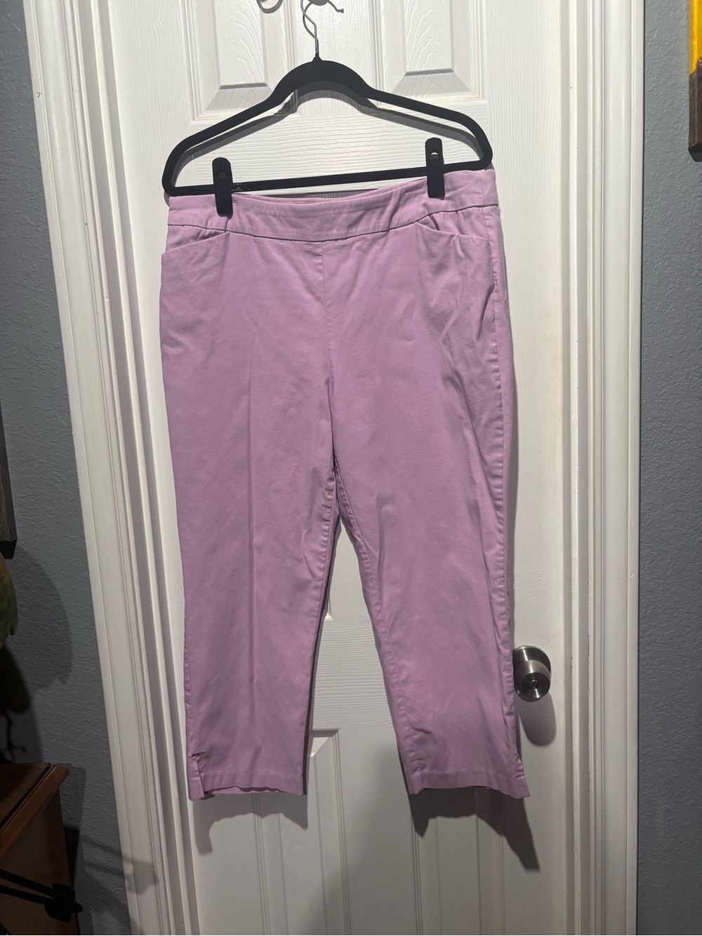 Cato Lavender Mid-Rise Pull-On Pants